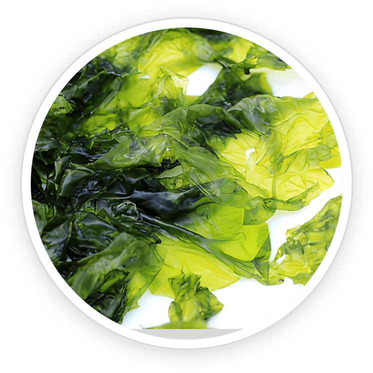 ingredient1