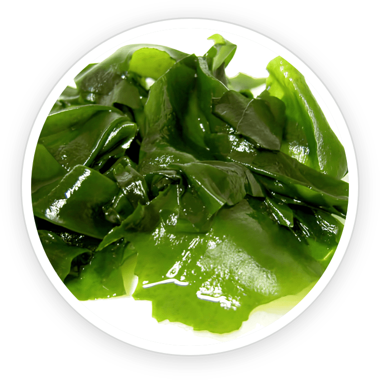 ingredient2